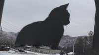 特撮ファンにはたまらないこのサイズ感…※カマキリさん提供