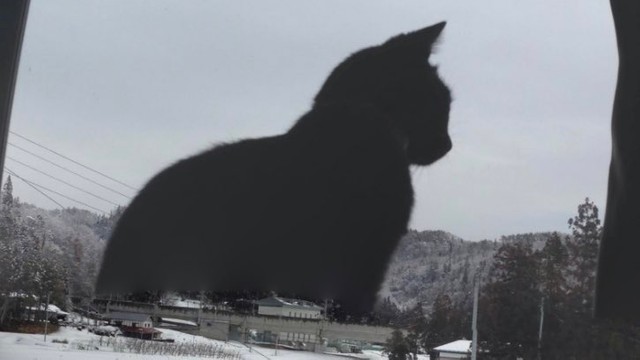 特撮ファンにはたまらないこのサイズ感…※カマキリさん提供