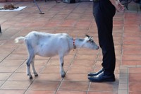 ねえねえ、もっと遊んでよ