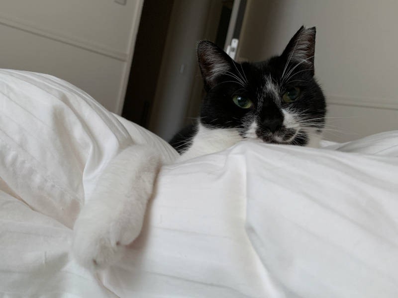 こぐまもじーっと観察中