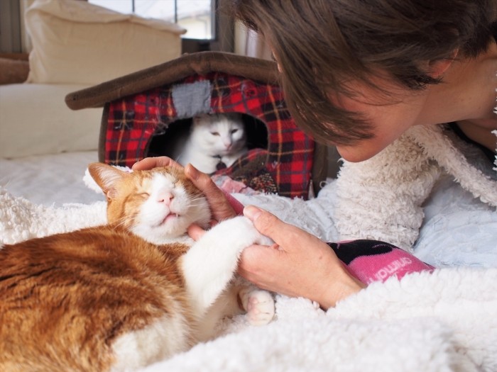 ハピをなでる齊藤さん