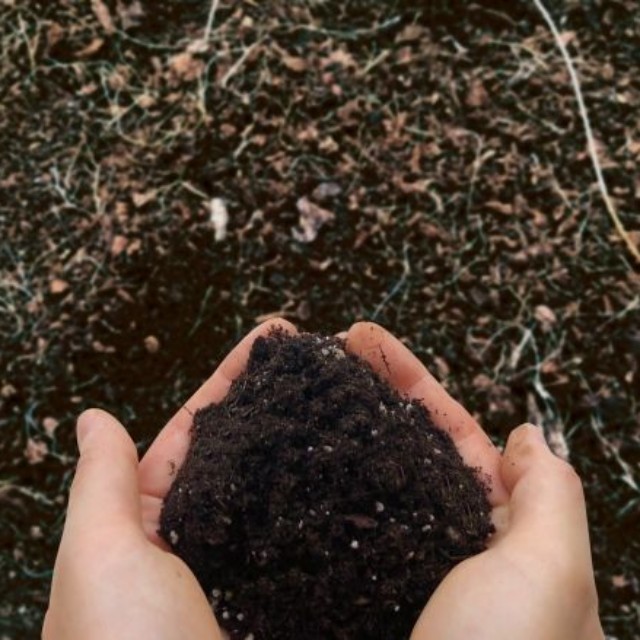 東日本大震災の被災地で出会った“泥だらけのおじいさん”の正体がＸで話題に（photoACより「mybears」さん撮影、イメージ画像）