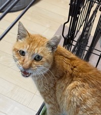 防犯カメラに何度も映っていた男性が涙した理由とは？（画像提供：今村かなえさん）