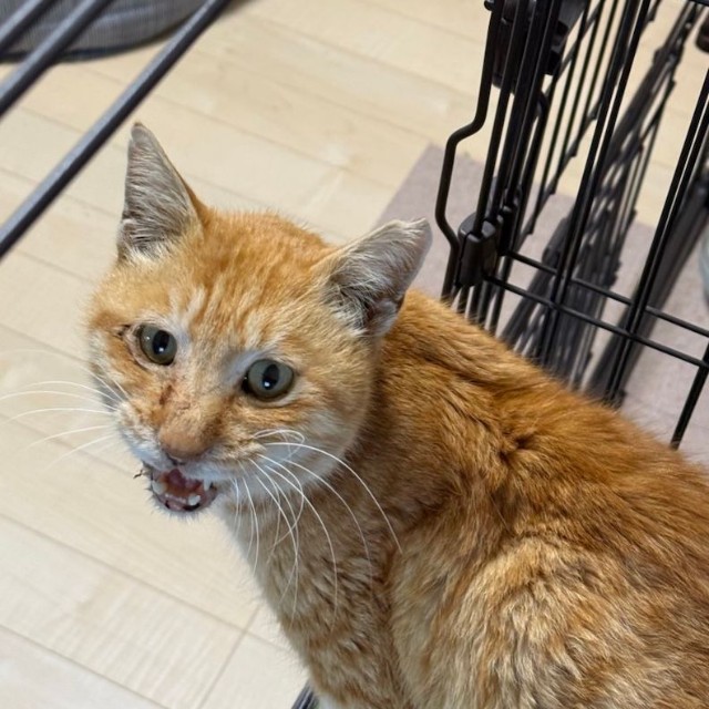 防犯カメラに何度も映っていた男性が涙した理由とは？（画像提供：今村かなえさん）