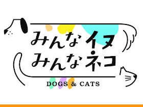 人気の保護犬・猫の写真展「みんなイヌ、みんなネコ」大阪で開催