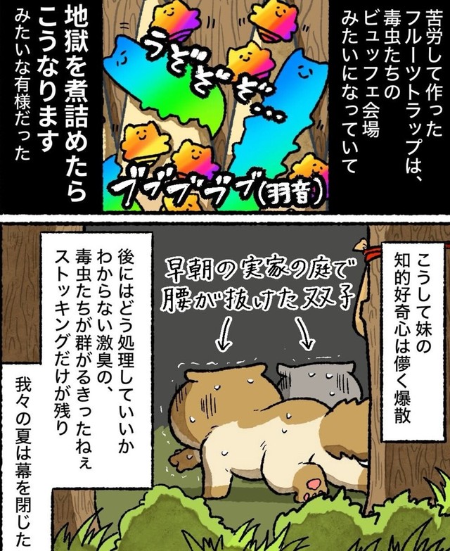 毒虫たちのビュッフェ会場はこちら（ゆう｜ノープロブレムキャットさん提供）