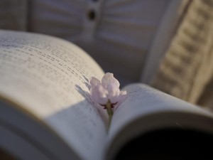 成績トップを取った私がつまずいたとき、後ろで見守る母に気付いた