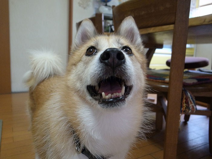 なんだか楽しいなあ～