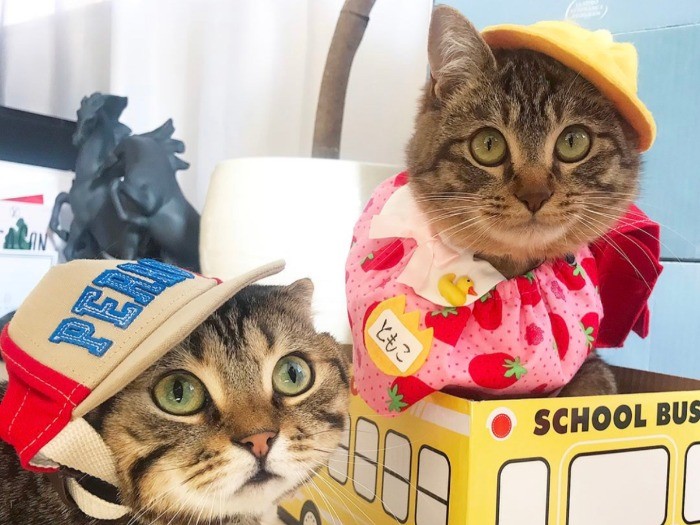 「ティノくんと幼稚園に行ってきます」