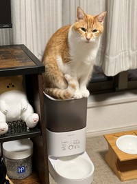 機械が気になる？レオ君