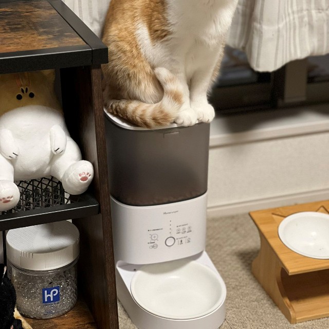 機械が気になる？レオ君