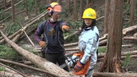 間伐で森林を元気に保つ　大学生がボランティア合宿　岡山・新見市