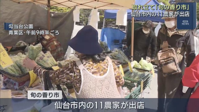 取れたて野菜などが並ぶ旬の香り市　仙台・勾当台公園