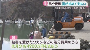 巡視船からの重油流出　被害で漁業者は困窮
