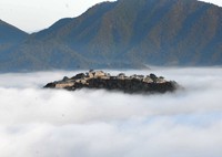 雲海に包まれた竹田城跡。まさに「天空の城」だ＝兵庫県朝来市