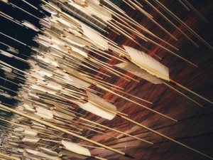 大人になった私は、弓道がなくても生きていけることに慣れてしまった