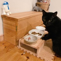 豪華なご飯を前にして