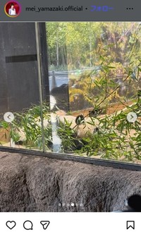 山﨑愛生のインスタグラム＠mei_yamazaki.officialより