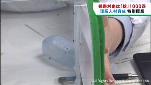 高校生が特別授業　蚊の生態を学ぶ　宮城・古川黎明高校