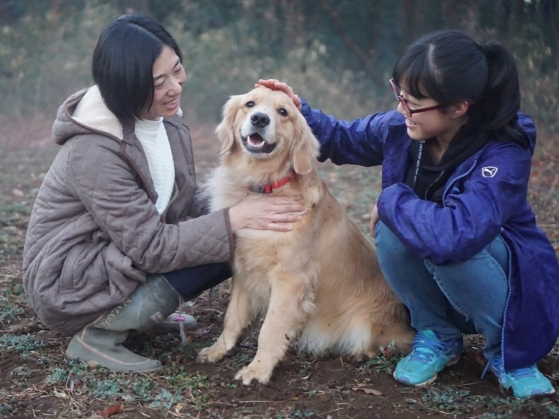 「お気に入りは目の前の原っぱ」
