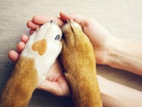 ※写真はイメージです（isavira／stock.adobe.com）