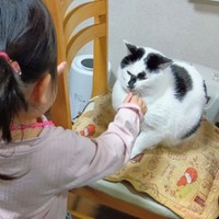 娘さんとも仲良し！ なでなでしてもらうシャネルちゃん（画像提供：らいらいももさん）