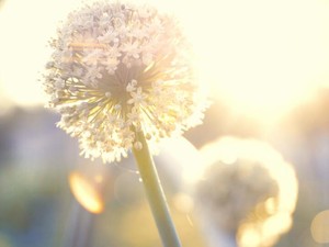 これからも「書く」力を信じて、誰かの、私の未来の一歩のために