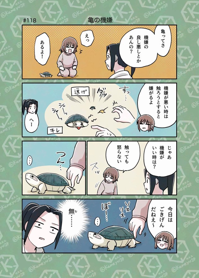 【漫画】『「亀飼いしか知らない世界」な4コマまとめ。』9（カメユさん提供）