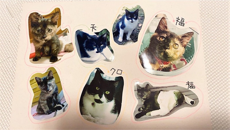 卓上に飾られたクロマメファミリー写真