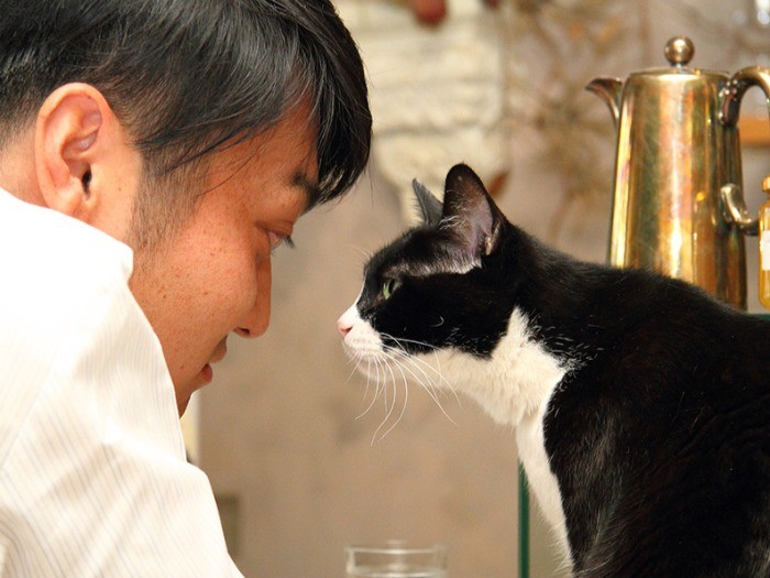 この可愛いビームにあなたは耐えられるか？