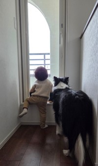 仲良く外の様子を見つめる息子くんとリリィちゃん（提供：なつ☺︎🌻🍓‎🤍さん）