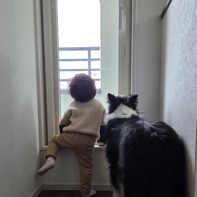 仲良く外の様子を見つめる息子くんとリリィちゃん（提供：なつ☺︎🌻🍓‎🤍さん）