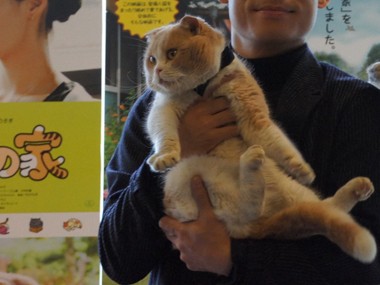 人気猫２匹、宣伝アンバサダーに就任　映画「ねこあつめの家」