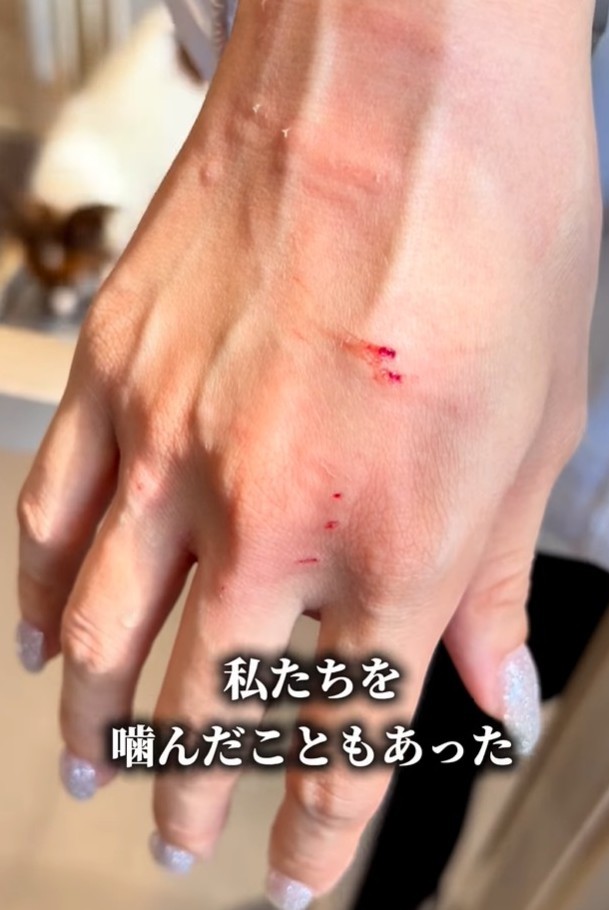 噛んだこともあった…（「anifareマークイズ福岡ももちシェルター」提供、Instagramよりキャプチャ撮影）
