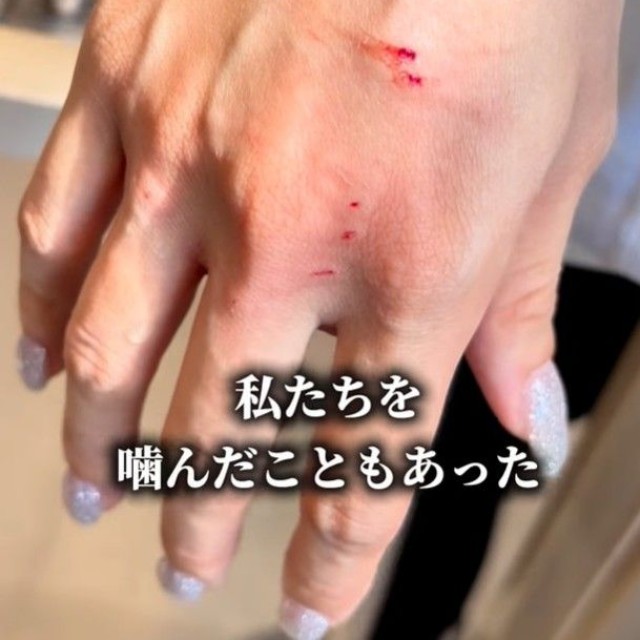 噛んだこともあった…（「anifareマークイズ福岡ももちシェルター」提供、Instagramよりキャプチャ撮影）