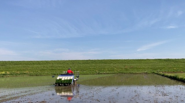 広大な土地を耕す様子（提供：魅影【曇りのち、】さん）