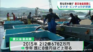 宮城・気仙沼漁港の水揚げ額　震災後最高額が確実に　カツオとビンチョウマグロ好調が後押し