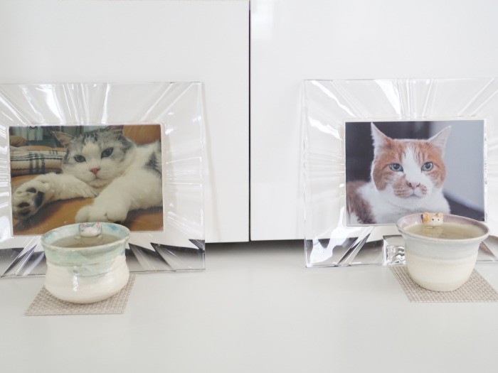 先代猫たちの写真には、お水をお供え