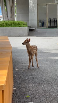 学生からも大人気　画像提供：奈良県立大学