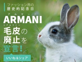 高級ブランドARMANI（アルマーニ）、毛皮使用をやめる！