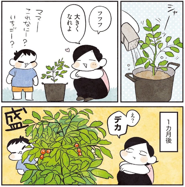 家庭菜園では1か月で思っていたより大きく育つ（モチダちひろさん提供）