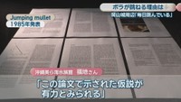 Jumping mullet　1985年発表