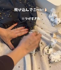 つけすぎた…大量のひっつき虫と闘うはなさん（提供：＠hana_3mama_さん）
