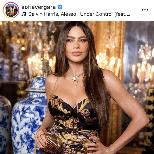 ソフィア・ベルガラのインスタグラム＠sofiavergaraより