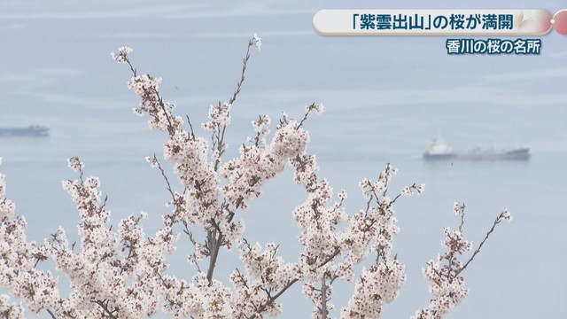 紫雲出山　三豊市詫間町大浜