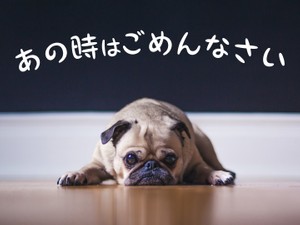 あの時はごめんなさい