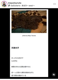 鶴田真由インスタグラム＠mayutsurutaより