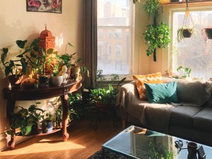 親よりも学校の友達よりも心強い、暮らしを彩るシェアハウスの世界