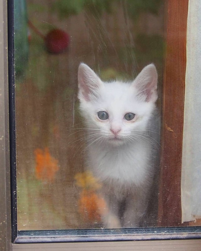 ママ、行ってらっしゃいとお見送り