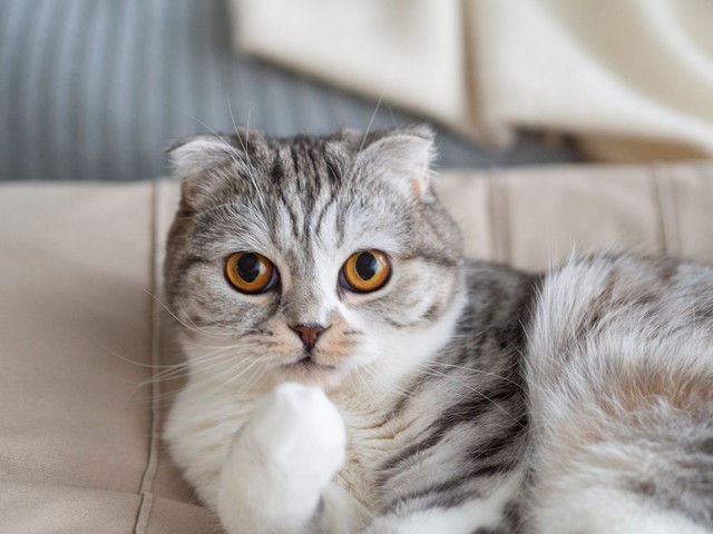 クスっと笑ってる？（提供写真）